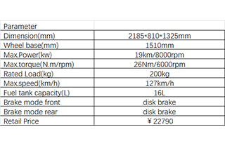 ADV300-2.png